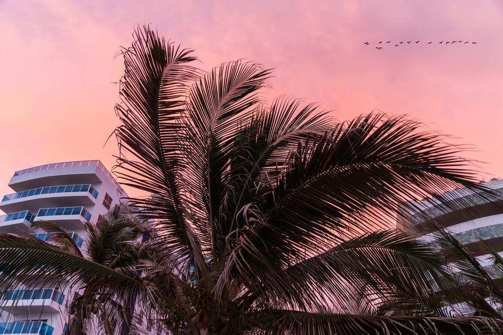 Vistamarina Casa Hotel (Adults Only) Cartagena Esterno foto